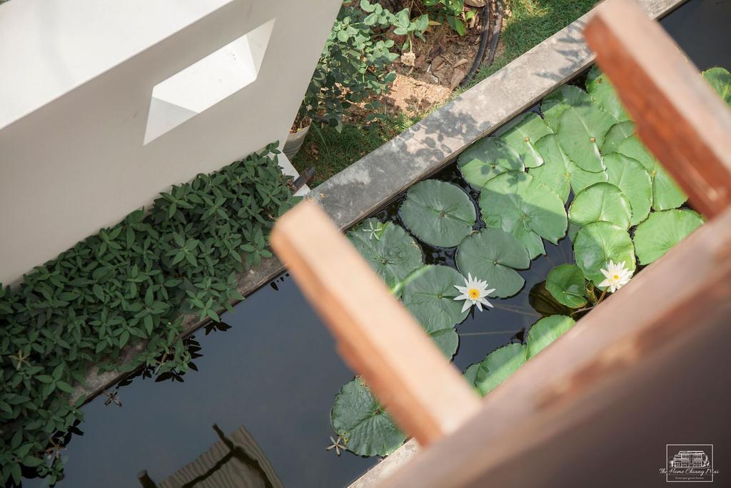 The Home Chiangmai Luxury Guesthouse Chiang Mai Zewnętrze zdjęcie