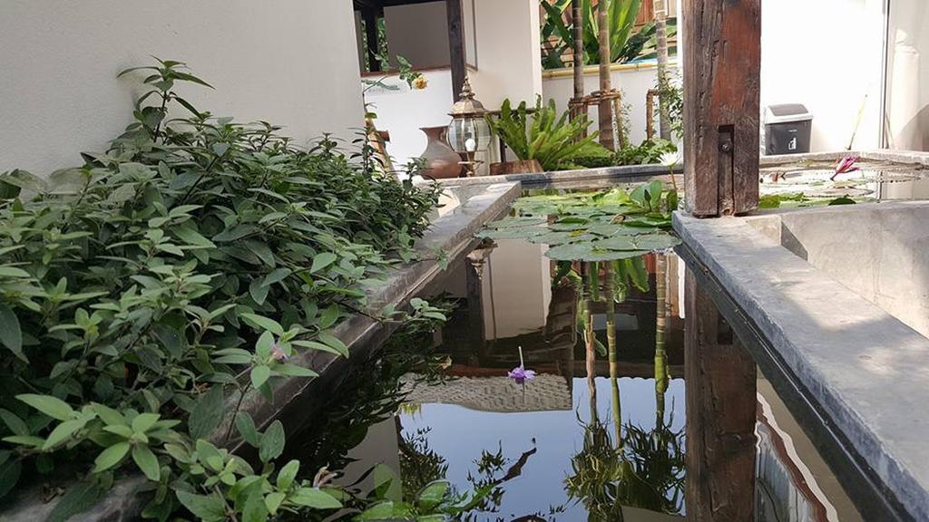 The Home Chiangmai Luxury Guesthouse Chiang Mai Zewnętrze zdjęcie