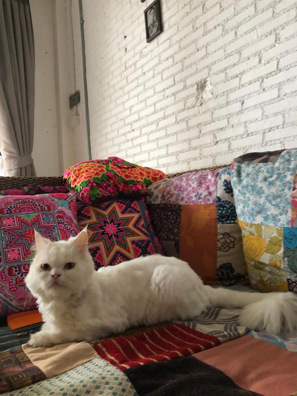 The Home Chiangmai Luxury Guesthouse Chiang Mai Zewnętrze zdjęcie